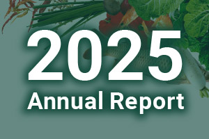 2025 Annual Reports  cover image