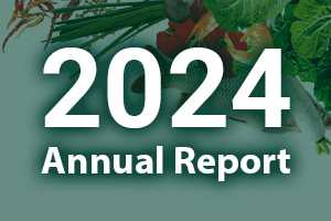 2024 Annual Reports  cover image